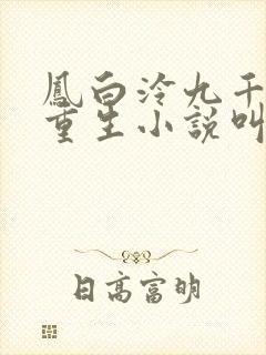 凤白泠九千岁的重生小说叫什么