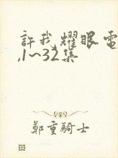 许我耀眼电视剧,1~32集