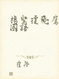 杨紫琼飞鹰电影国语