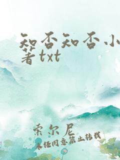 知否知否小说原著txt