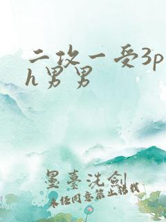 二攻一受3p高h男男