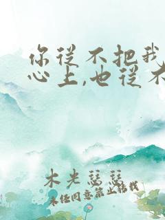 你从不把我放在心上,也从不在意我所想