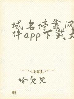 域名停靠网站软件app下载大全小