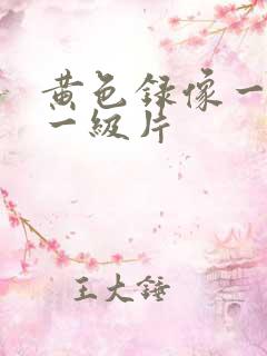 黄色录像一级片一级片