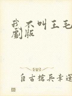 我不叫王毛电视剧版