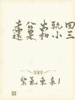 老公出轨回归后还是和小三联系