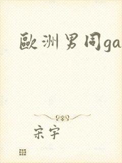 欧洲男同gay