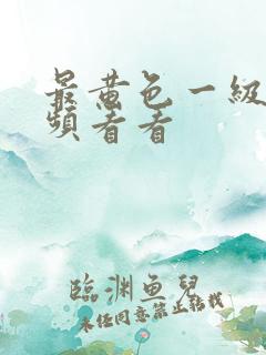 最黄色一级片视频看看