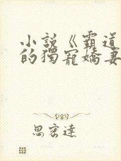 小说《霸道总裁的独宠娇妻》