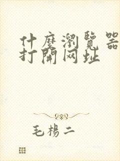 什么浏览器可以打开网址