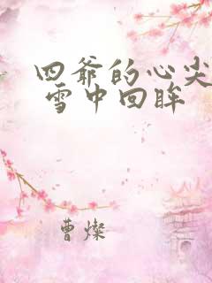 四爷的心尖宠妃 雪中回眸