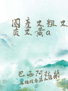 国产又粗又猛又爽又黄a