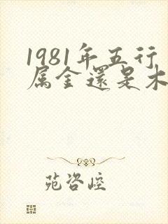 1981年五行属金还是木