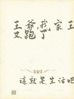 王爷,我家王妃又跑了