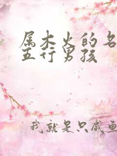 属木火的名字 五行男孩