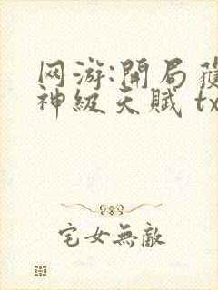 网游:开局获得神级天赋 txt下载