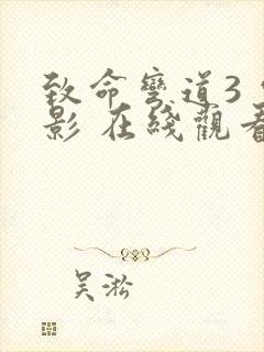 致命弯道3 电影 在线观看