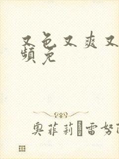 又色又爽又黄视频免