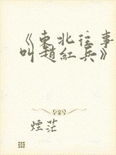 《东北往事:我叫赵红兵》