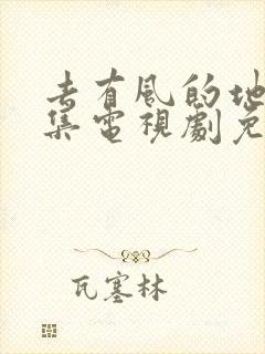 去有风的地方全集电视剧免费观看