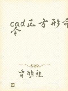 cad正方形命令