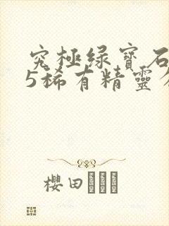 究极绿宝石5.5稀有精灵分布