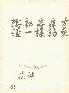 阴部瘙痒有豆腐渣一样的东西