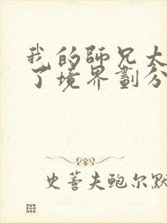 我的师兄太稳健了境界划分