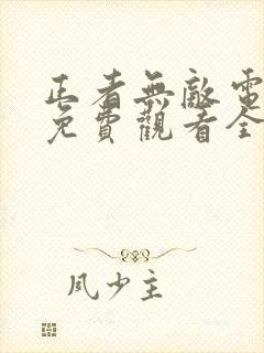 正者无敌电视剧免费观看全集