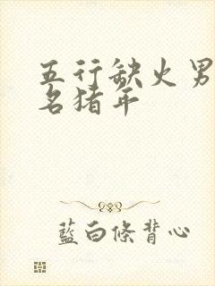 五行缺火男孩取名猪年