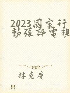 2023国家行动张译电视剧免费