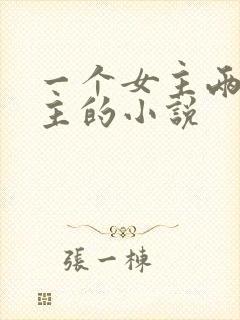 一个女主两个男主的小说