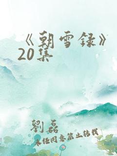 《朝雪录》 第20集