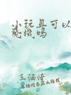 小玩具可以带上飞机吗