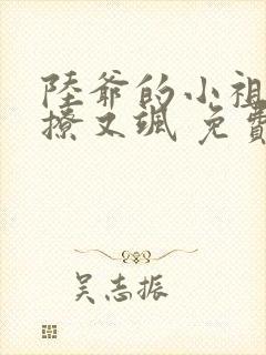 陆爷的小祖宗又撩又飒 免费阅读