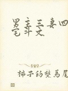 男主三妻四妾的宅斗文