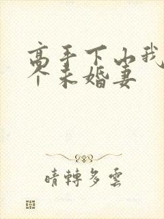 高手下山我有九个未婚妻