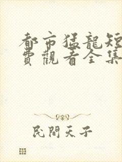 都市猛龙短剧免费观看全集高清