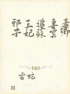 邪王追妻毒医世子妃苏云卿