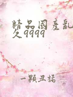 精品国产乱码久久9999