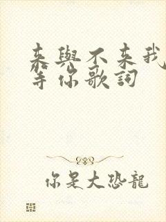 来与不来我都在等你歌词