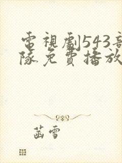 电视剧543部队免费播放在线观看