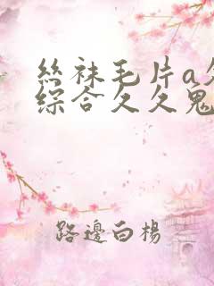 丝袜毛片a久久综合久久鬼色