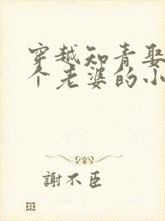 穿越知青娶了三个老婆的小说