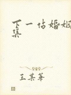 下一站婚姻第3集