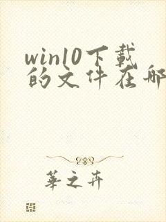 win10下载的文件在哪个文件夹