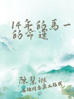 14年的马一生的命运