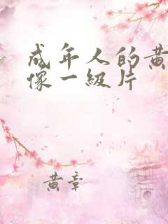 成年人的黄色录像一级片