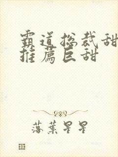霸道总裁甜宠文推荐巨甜