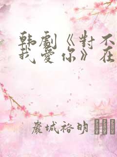 韩剧《对不起,我爱你》在线观看